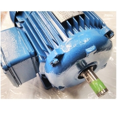 Motor Elétrico Trifásico 5 CV 4 Pólos IP55 B3D 4T IR3 - comprar online