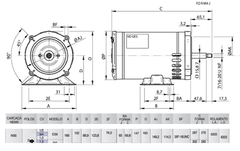 Imagem do Motor Elétrico Trifásico Nema JetPump 1,50CV (1,1kW)