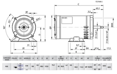 Imagem do Motor Elétrico Trifásico Nema JetPump 1 CV (0,75kW)