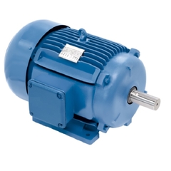 Motor Elétrico Trifásico 0.50 CV 4 Pólos IP55 B3D 2T IR3