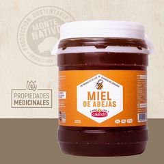 MIEL DE ABEJAS // 2KG