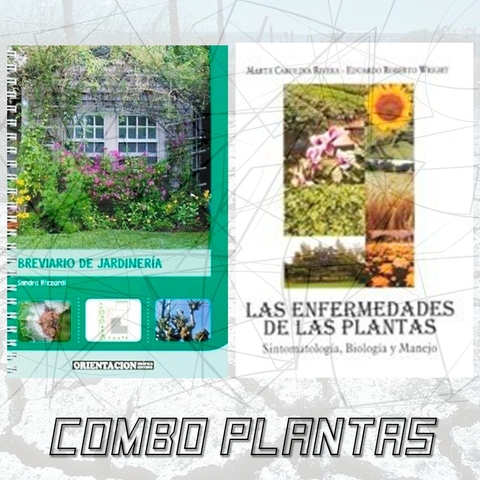 COMBO PLANTAS