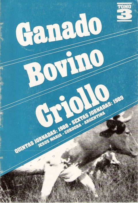 GANADO BOVINO CRIOLLO (3)