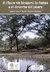 CHACO SIN BOSQUES, EL . LA PAMPA O EL DESIERTO. Morello et al. 2009