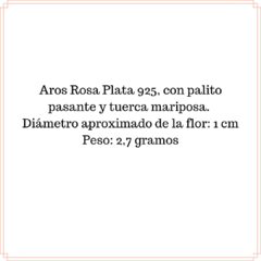 Aros Rosa Plata - comprar online