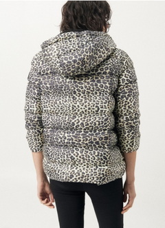 CAMPERA TEDROS - comprar online