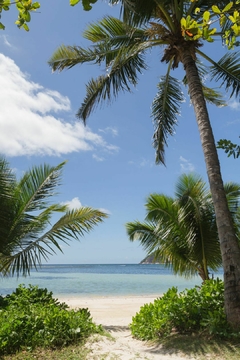 VM102473516BG - Playa Tropical