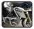 Protetor De Motor Bmw R 1200gs 13- Scam Sptoa415 - VRacing - de motociclista para motociclista!