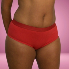 CUECA FEMININA PLUS SIZE 9023 - ALGODÃO na internet