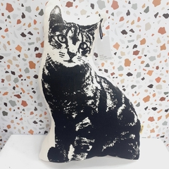 Almohadon gato - comprar online