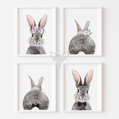 Laminas L21 - Conejos - 4 laminas de 20x30 cm