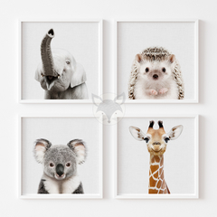 Laminas L23 Caras de Animales Elefante-erizo-jirafa-koala - comprar online