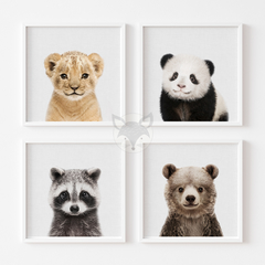 Laminas L24 Caras de Animales Leon-mapache-oso-panda - comprar online
