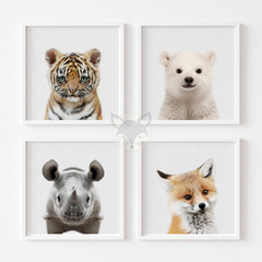 Laminas L25 Caras de Animales Polar-rino-tigre-zorro - comprar online