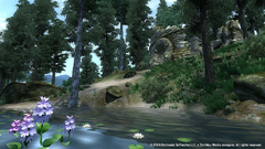Imagem do THE ELDER SCROLLS IV OBLIVION (GAME OF THE YEAR EDITION) PC - ENVIO DIGITAL
