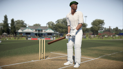 DON BRADMAN CRICKET 17 PC - ENVIO DIGITAL na internet