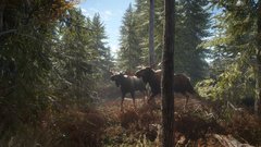 THEHUNTER CALL OF THE WILD (COMPLETE COLLECTION) PC - ENVIO DIGITAL - BTEC GAMES