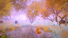 HIDDEN TREASURES IN THE FOREST OF DREAMS PC - ENVIO DIGITAL na internet