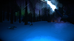 THE LONG DARK (QUIET APOCALYPSE BUNDLE) PC - ENVIO DIGITAL na internet