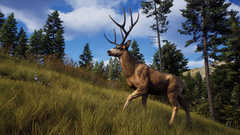 WAY OF THE HUNTER (ELITE EDITION) PC - ENVIO DIGITAL - loja online