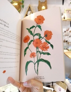 LIBRO ORÁCULO HERBAL - BOSQUE, Arte y Botánica