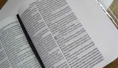 Bíblia capa dura especial média - leão cruz - loja online