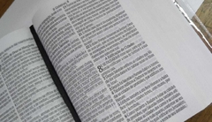 Biblia sagrada com ajudas adicionais e harpa capa dura media - leão e ovelha - loja online