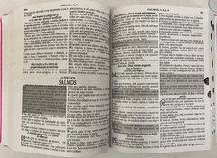 Bíblia sagrada letra jumbo com harpa edição de promessas - capa luxo pink lisa - Mundial Records Editora