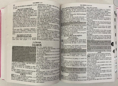 Bíblia sagrada letra jumbo com harpa edição de promessas - capa luxo marrom café - Mundial Records Editora