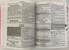 Bíblia sagrada letra jumbo com harpa edição de promessas - capa luxo azaleia - Mundial Records Editora