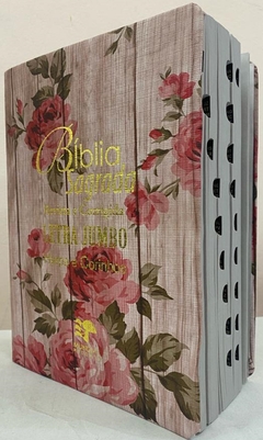 Bíblia sagrada letra jumbo com harpa edição de promessas - capa luxo romantic vermelha