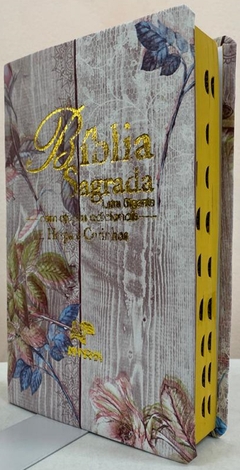 Bíblia letra gigante com harpa - capa luxo azaleia