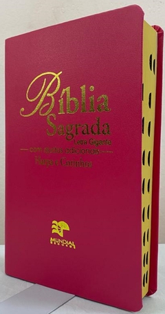 Bíblia letra gigante com harpa - capa luxo pink lisa