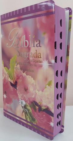 Bíblia sagrada com ajudas adicionais e harpa letra gigante - capa luxo floral primavera