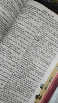 Imagem do Bíblia sagrada com ajudas adicionais letra gigante - capa luxo marrom lisa