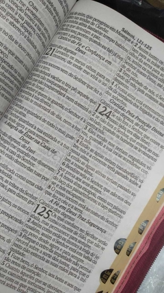Bíblia letra gigante com harpa - capa luxo rosa lisa - Mundial Records Editora