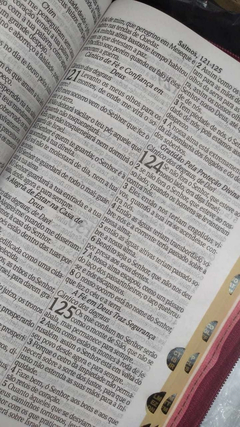 Bíblia sagrada com ajudas adicionais e harpa letra gigante - capa luxo marrom lisa - Mundial Records Editora