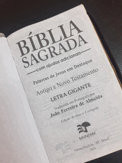 Kit bíblia sagrada pai & filha - biblia capa com ziper vinho + biblia boneca rosa na internet