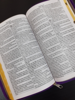 Bíblia sagrada com ajudas adicionais letra gigante - capa com ziper rosa lisa - loja online