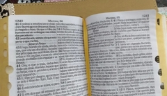 Bíblia sagrada com ajudas adicionais letra hipergigante - capa luxo pink raiz - Mundial Records Editora