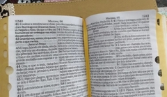 Bíblia sagrada com ajudas adicionais e harpa letra hipergigante dourada colmeia na internet