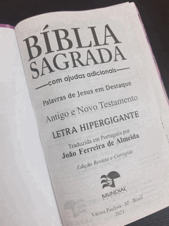 Bíblia do casal letra hipergigante com harpa capa luxo café + floral rosas na internet
