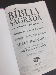 Bíblia sagrada com ajudas adicionais letra hipergigante - capa com zíper pink lisa na internet