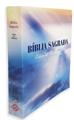 Kit Com 20 Biblias Sagrada Para Evangelismo Edição De Promessas 10 Cm X 13,5 Cm - comprar online