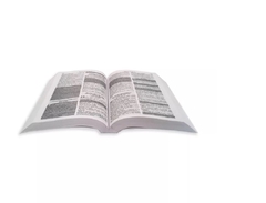 Kit Com 20 Biblias Sagrada Para Evangelismo Edição De Promessas 10 Cm X 13,5 Cm - Mundial Records Editora