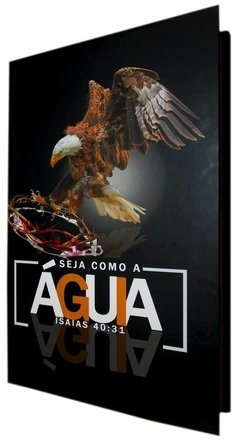 Bíblia capa dura especial - águia - comprar online