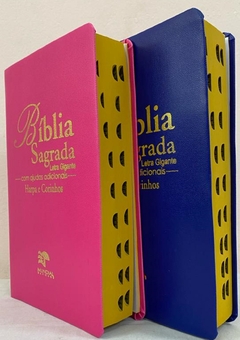 Bíblia sagrada do casal letra gigante com harpa capa luxo azul + pink lisa