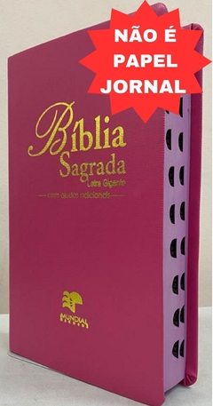 Bíblia sagrada com ajudas adicionais letra gigante - capa luxo pink lisa