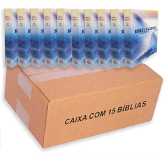 Kit Com 10 Biblias Sagrada Para Evangelismo Edição De Promessas 10 Cm X 13,5 Cm