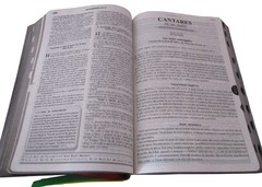 Biblia devocional de estudo - capa luxo marrom relevo